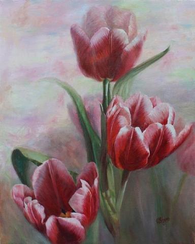 Живопись цветов: Red and White Tulips
